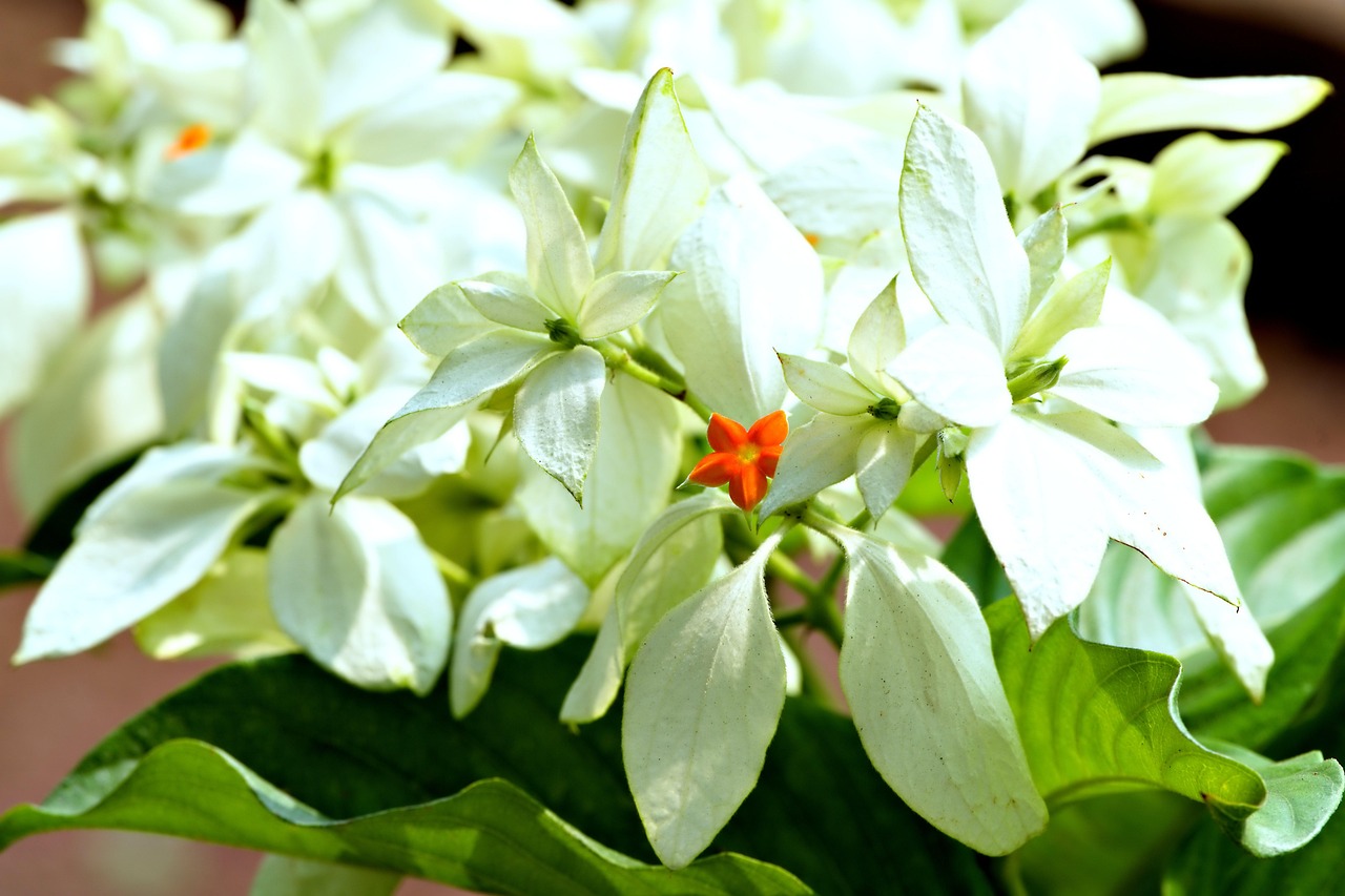 思春期の体臭を改善する方法は？