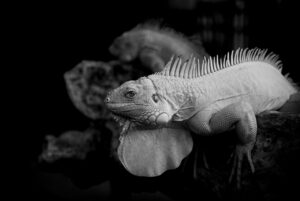 思春期の男子に多い皮脂臭の原因とは？