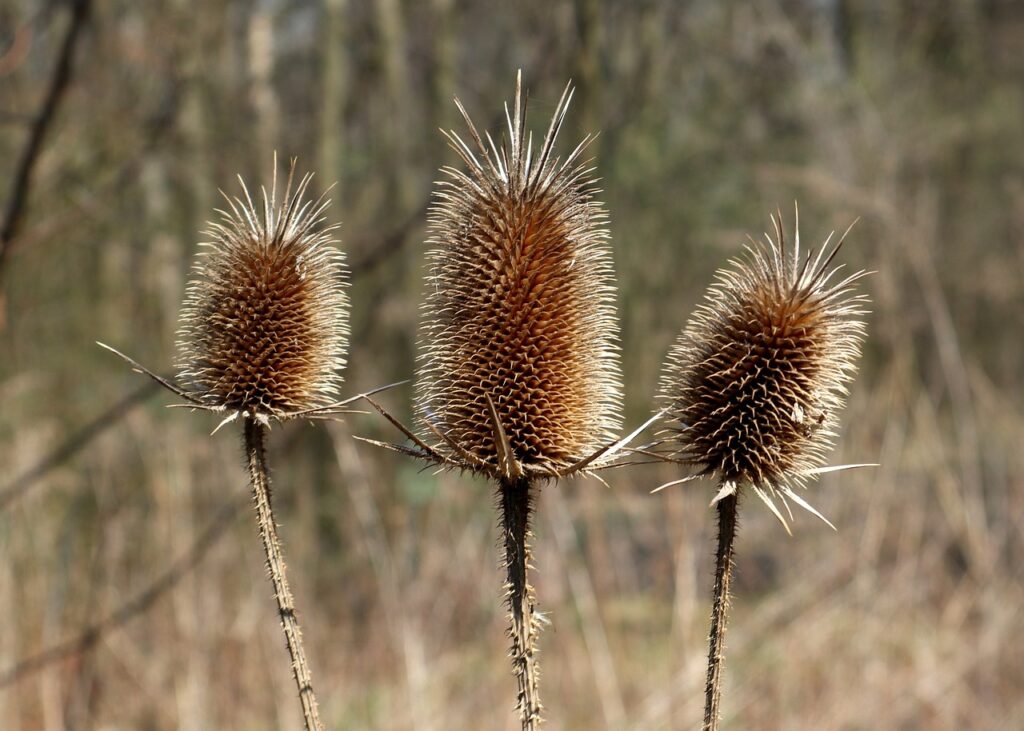 速乾インナーで汗臭い匂いを防ぐためのポイントは？