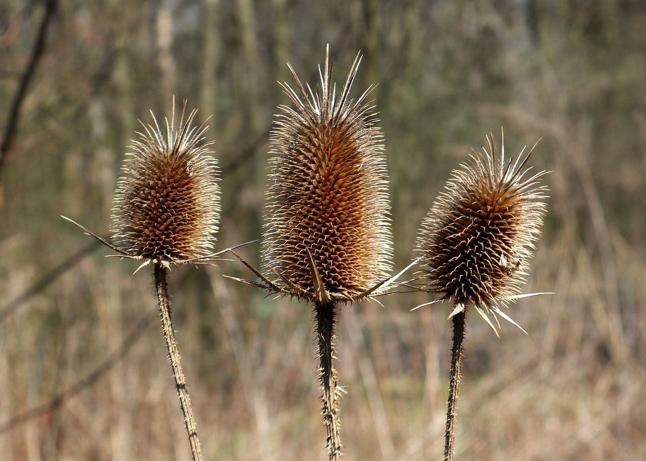速乾インナーで汗臭い匂いを防ぐためのポイントは？