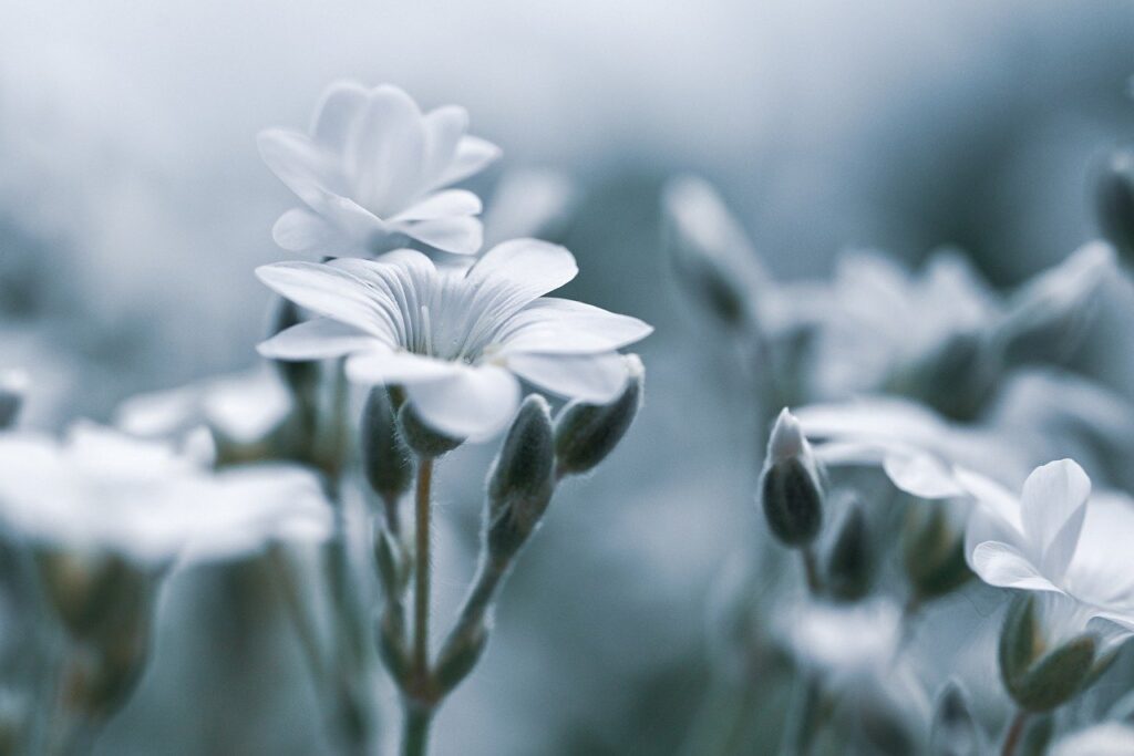 デリケートゾーンのニオイが思春期に出る原因とは？