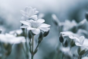 デリケートゾーンのニオイが思春期に出る原因とは？