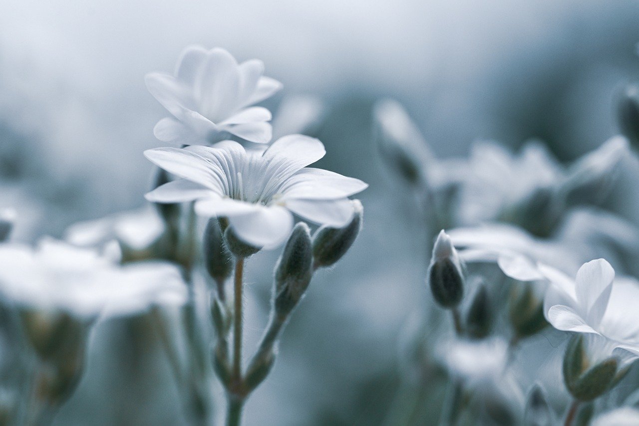 デリケートゾーンのニオイが思春期に出る原因とは？