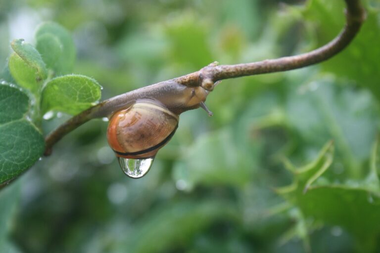 中学生がワキ汗に悩んだ時の制汗剤の使い方は？
