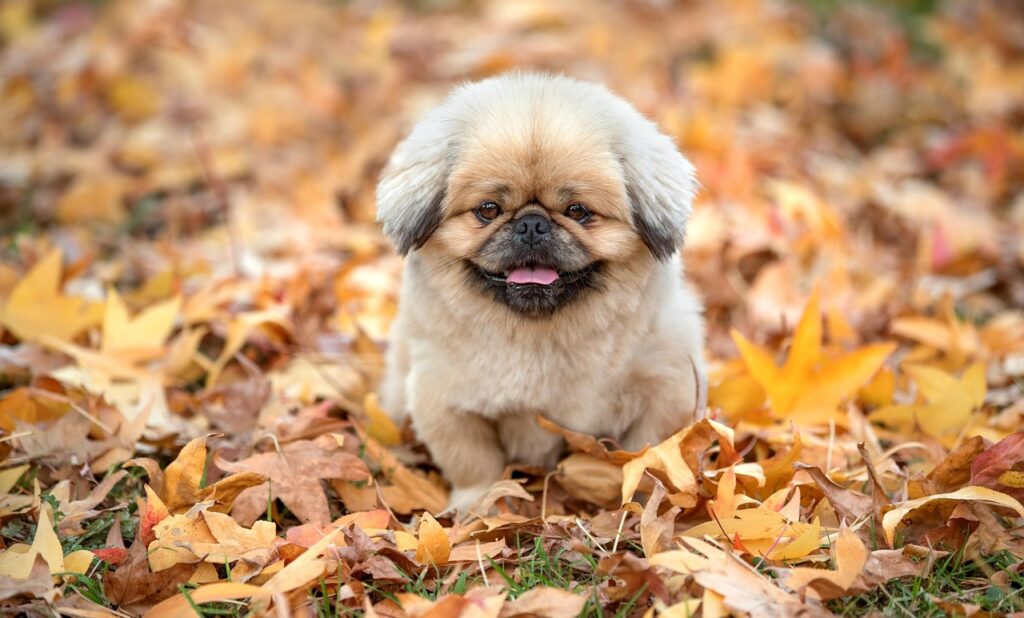 汗の臭いが朝から気になる時の対策方法は？