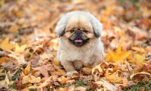 汗の臭いを学校で効果的に対策する方法は？