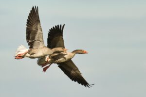 登校中の汗だくニオイ対策はこれで決まり？