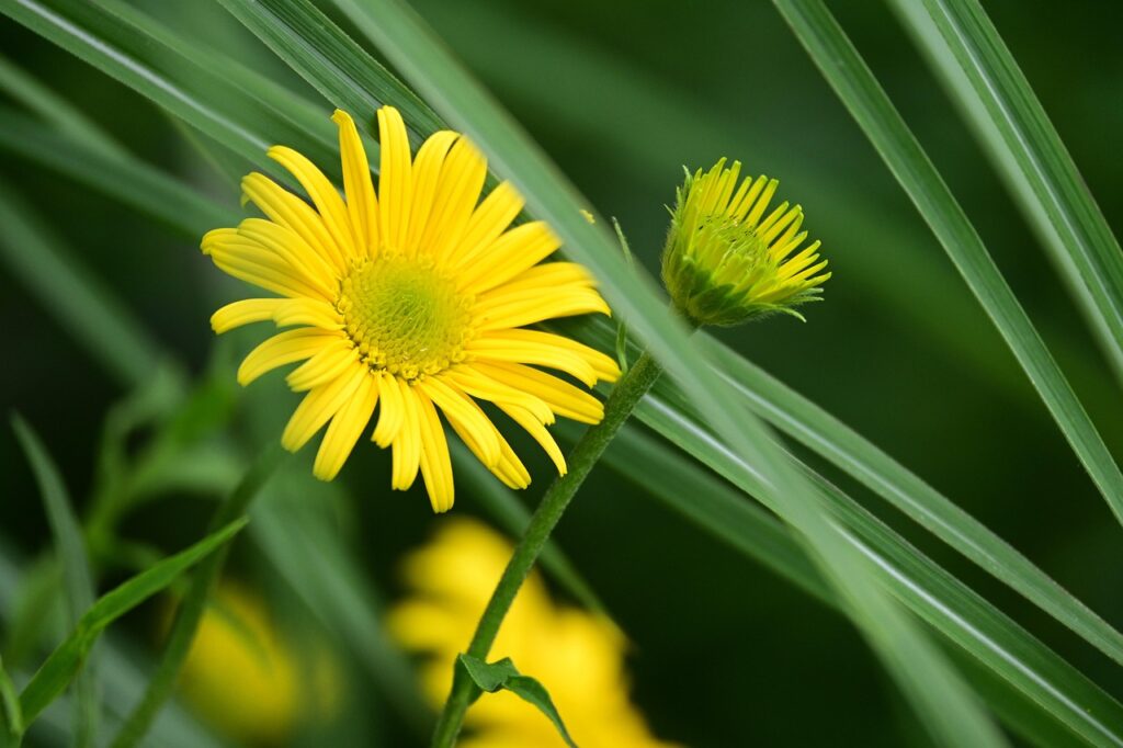 高校生の頭皮の臭いを改善する対処法は？