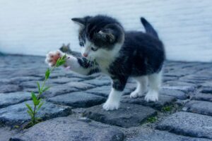 テスト前の汗の臭いが気になる時、どう対処すればいい？