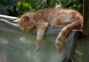 パジャマが汗臭い？効果的な対策はこれだ！