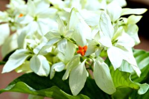 思春期の体臭を改善するための生活習慣は？