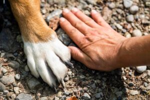 足用デオドラントは学生向けに本当に効果的？