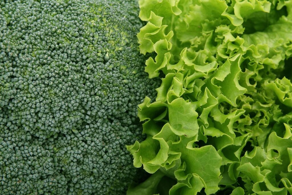 野菜不足が原因で体臭が強くなるのは本当？