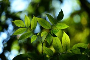 高校生のニオイ悩みを解消する全身ケアの方法は？